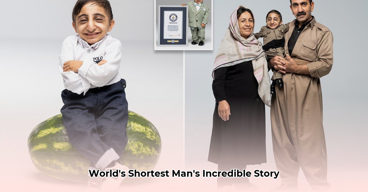 afshin-ghaderzadeh-net-worth